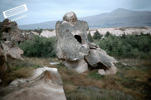 Φύση – Κρίση