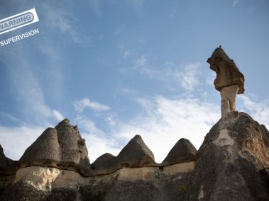 Επιτήρηση